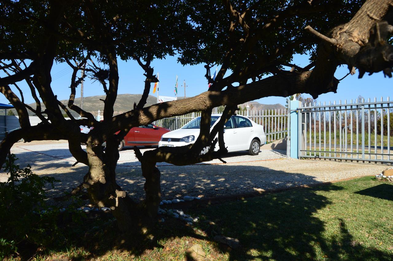 Fisherhaven Travellers Lodge Hermanus Exterior foto